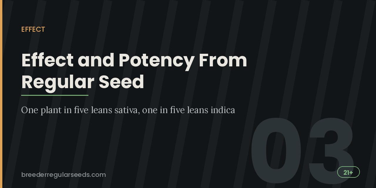 Effect title card noting that about one plant in five leans sativa and one in five leans indica in a regular pack