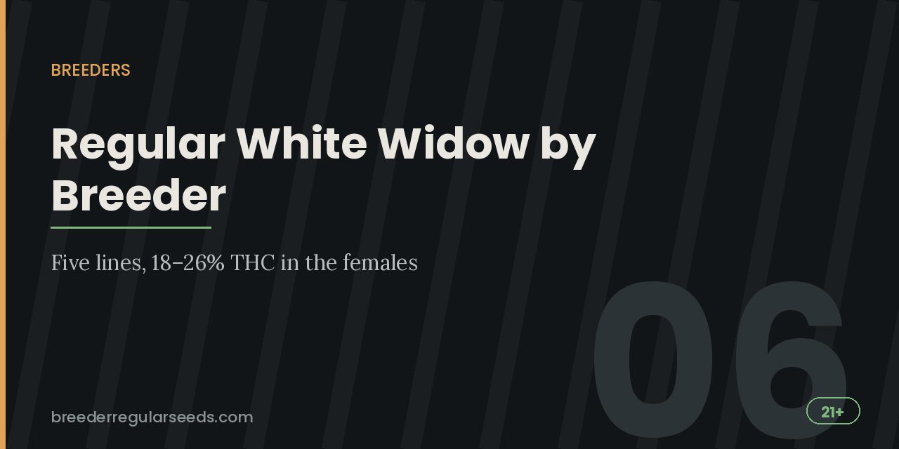 Breeder title card comparing five regular White Widow lines at 18 to 26 percent THC in the females